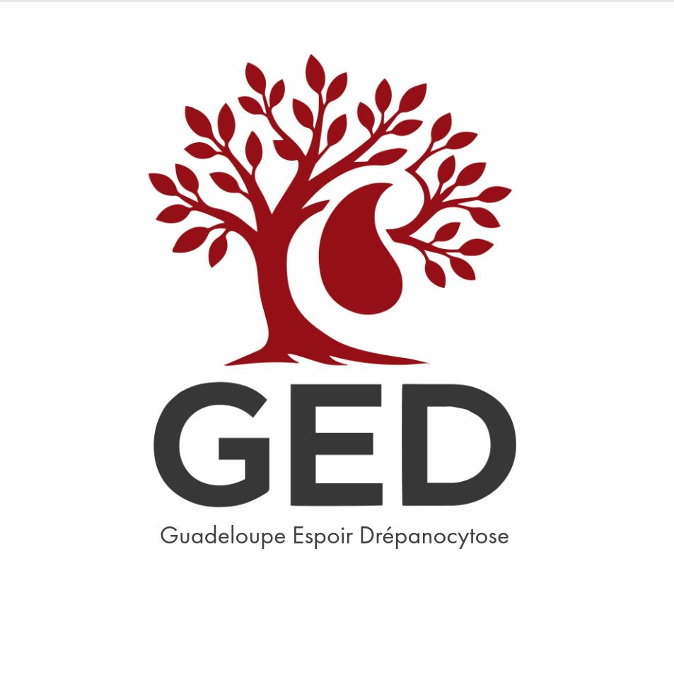 Logo GED - Client Sibeffect